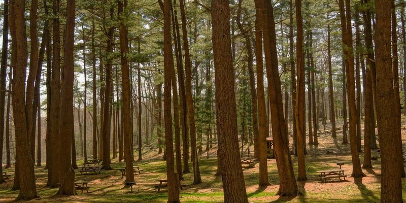 中恒天泉酒店商务套房预订全攻略：解锁高性价比差旅与会议体验