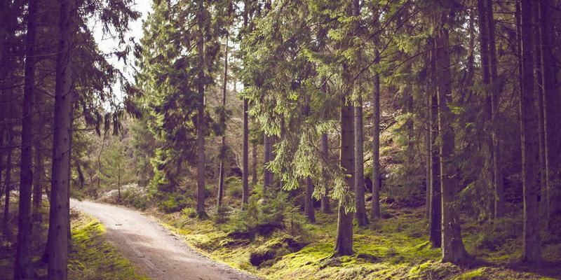 商旅出行新选择：中恒天泉酒店如何用亲子主题房与儿童设施，让家庭与工作完美兼顾