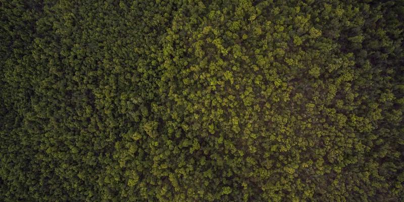 商旅出行无忧指南:中恒天泉酒店机场/高铁站接送服务全解析与高效预约攻略