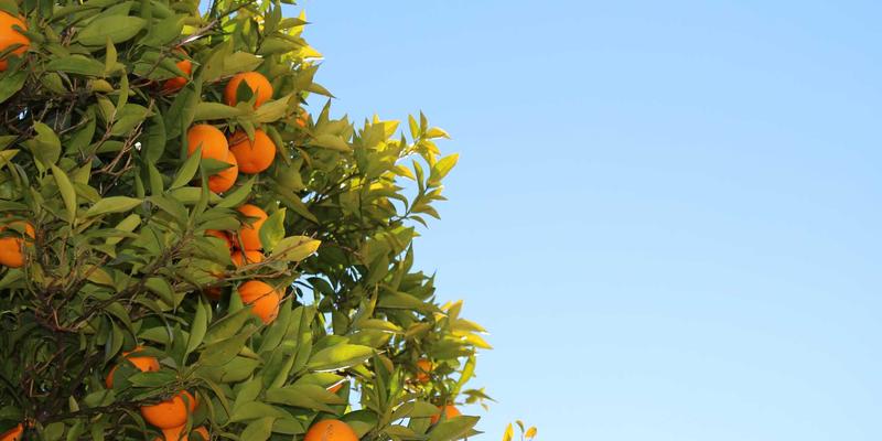 城市微度假新选择：中恒天泉酒店周末套餐，解锁商旅与休闲的完美平衡